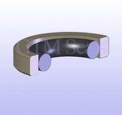 PTFE Piston Seals