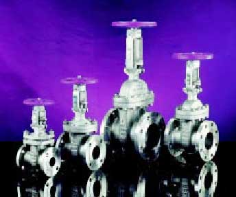 Stainless Steel Gate Valves