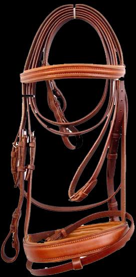 Leather Bridle