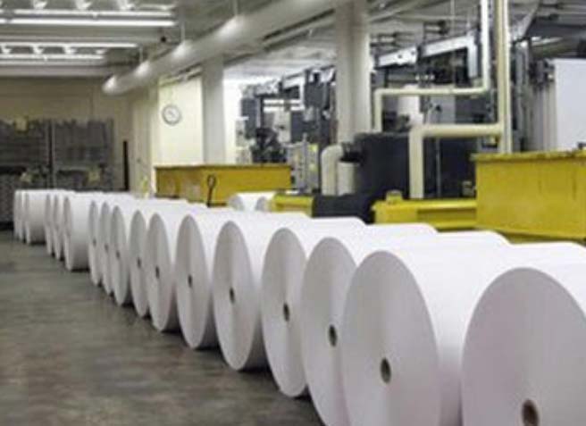 White Paper Rolls, for Printing, Pattern : Plain