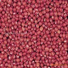 Small red pea
