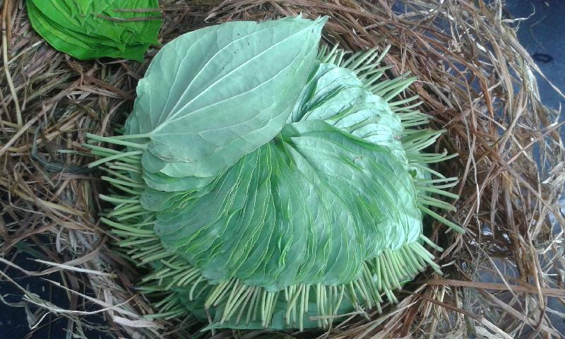 chinna odampaad pan leaf