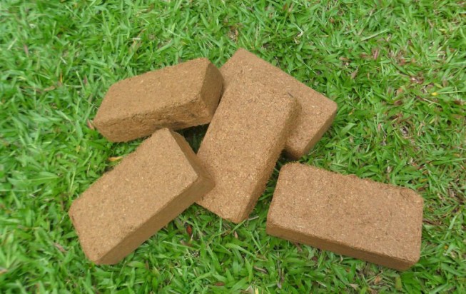 Coco peat Brick