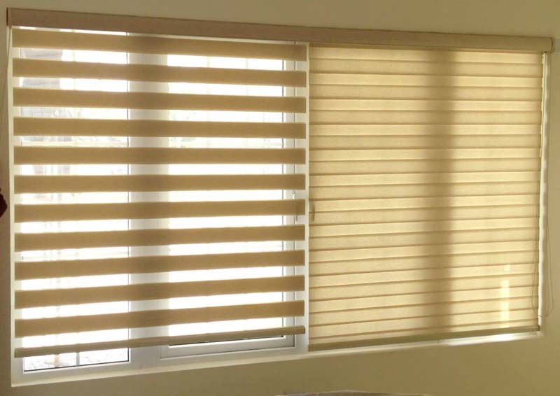 Zebra Window Blinds