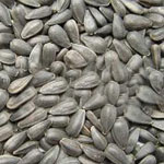 sunflower seed