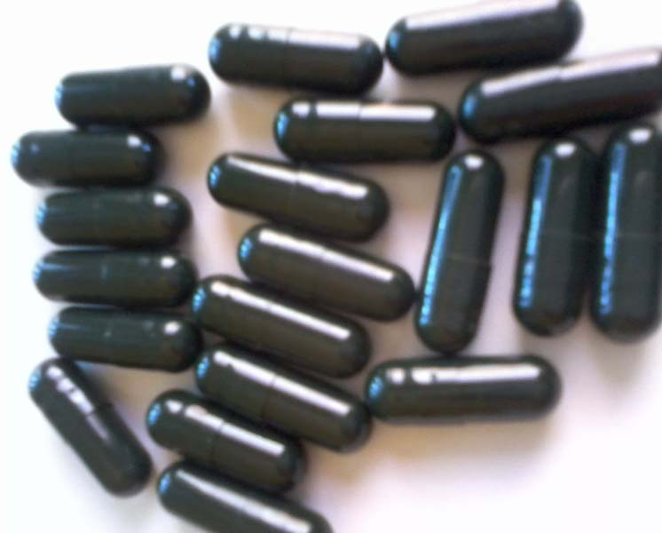 shilajit capsules