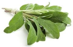 Natural Sage, for Medicines, Form : dried
