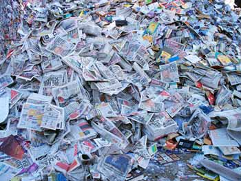 News & Pamps Paper Scraps