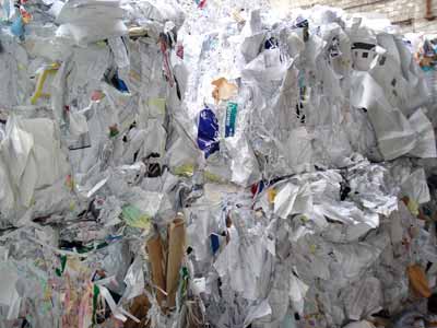 Paper Waste-01