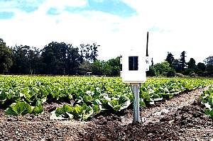 Wireless Leaf & Soil Moisture Temperature Station