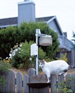 Wireless Temperature Humidity Station