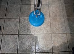 Floor stripper