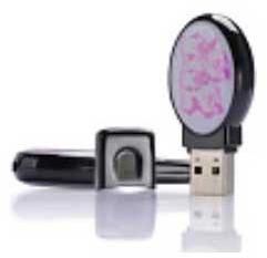 Dome Pen Drive (CWC-09-002)