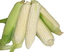 Whole White Corn