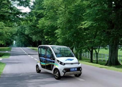 Low Speed Domestic Electric Cars