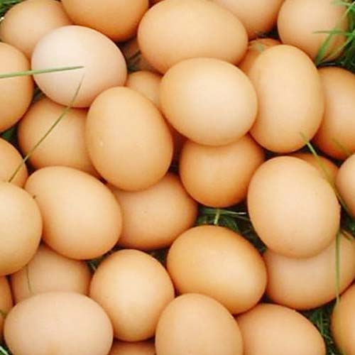 Brown Chicken Eggs, for Bakery, Cooking, Feature : Good For Health, High In Protein