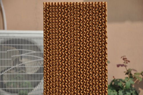 Cooling Wall Pad