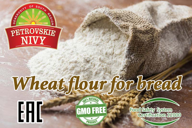 Quality wheat flour best price high grade 50 kg Russia origin by