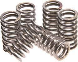 Stainless Steel Springs