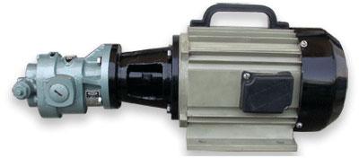Rotary Gear Pump (CGXM)