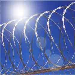 GI Single Coil Razor Wire, Razor Type : Barbed