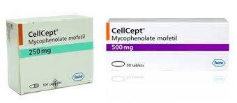 Mycophenolic Acid-CELLCEPT