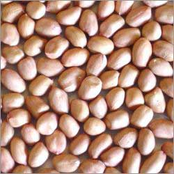 Groundnuts - 01