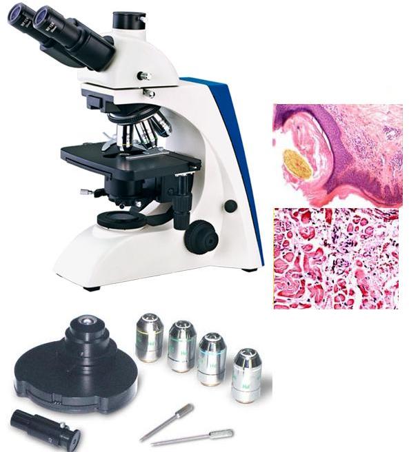 Mv-bk Series Biological Microscope