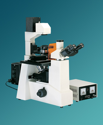 Mv-xdy-1 Fluorescence Microscope