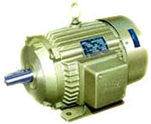 Torque Motor