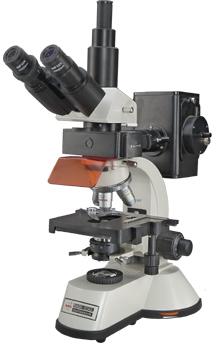 Flourescence Microscope