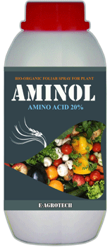 Aminol