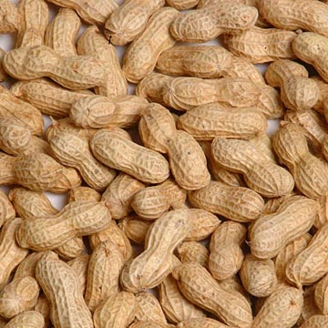 peanuts