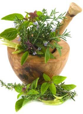 Organic natural herbs, Color : Green
