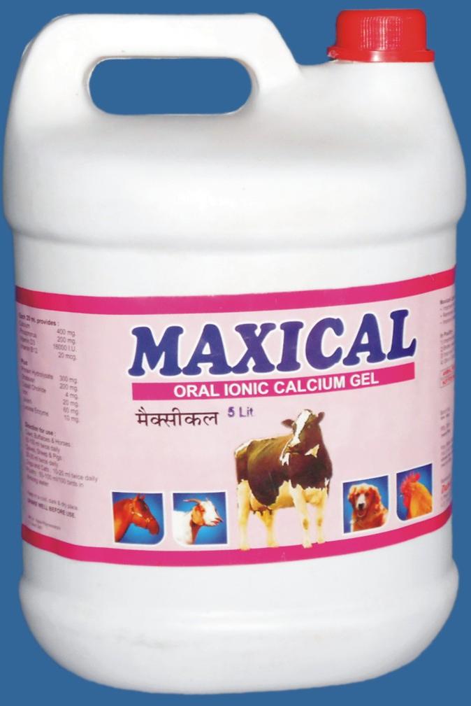 Maxical Gel (vet)