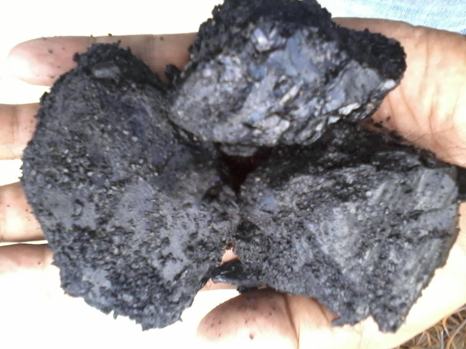 Steam Coal Coke