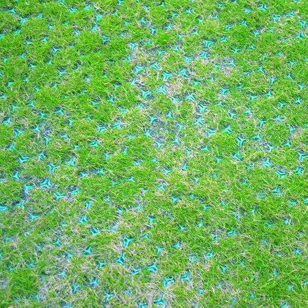 Pvc grass pavers