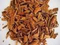 Indian Cinnamon