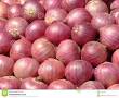 Indian Onion