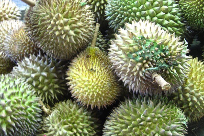 Fresh Durian