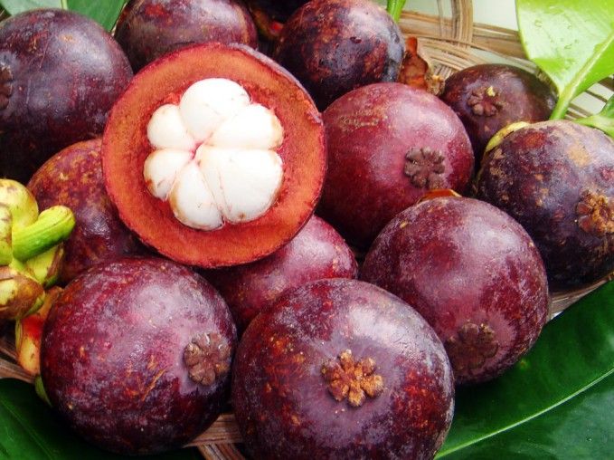 Fresh Mangosteen