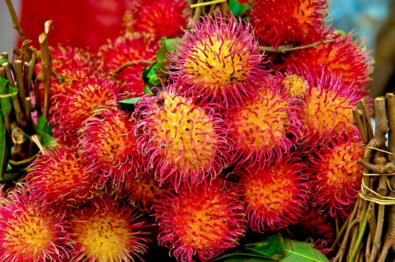 Fresh Rambutan Buy Fresh Rambutan in Nakhon Pathom Thailand from ...