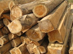 teak wood