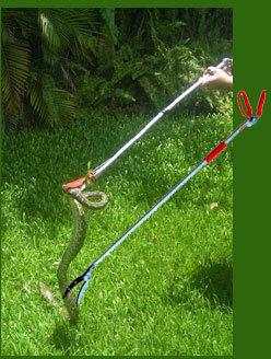 Snake Catcher Stick Sharpex