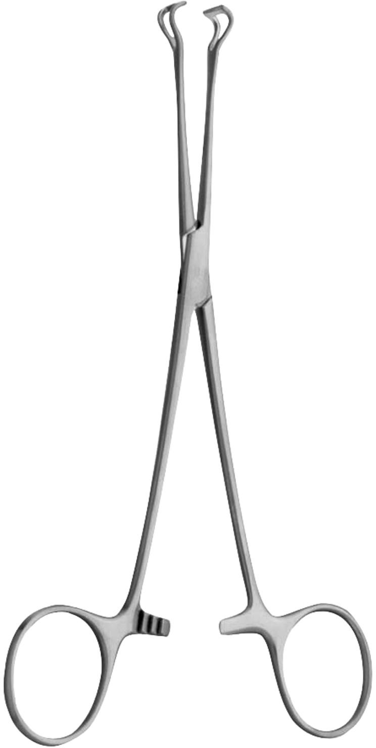 Surgical Instruments - Babcock Forceps