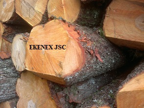 Alder Logs from Lithuania/latvia/belarus/ukraine (alnus Glutinosa)