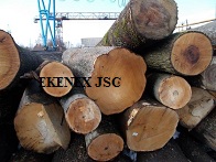Maple Logs from Lithuania/ukraine (acer Platanoides)