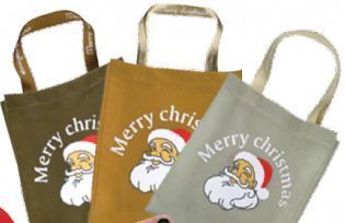 Carry Bag Printing Services