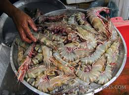 Tiger Prawn, Style : based on customer requirement