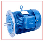 Vertical Flanged Motor